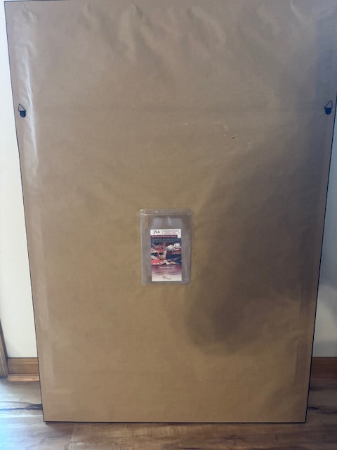 Green Bay Packers Davante Adams Autographed Jersey Framed JSA Certified